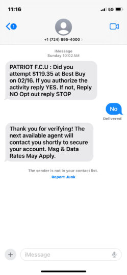 Fraudulent Text Example